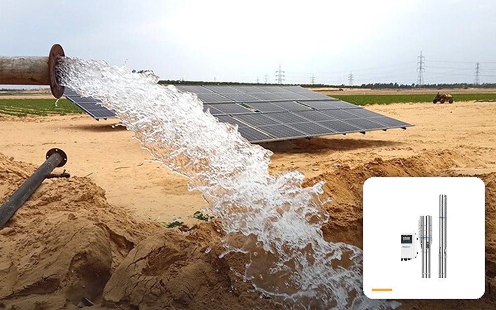 Drip irrigation, 40 ha farm — Kenya