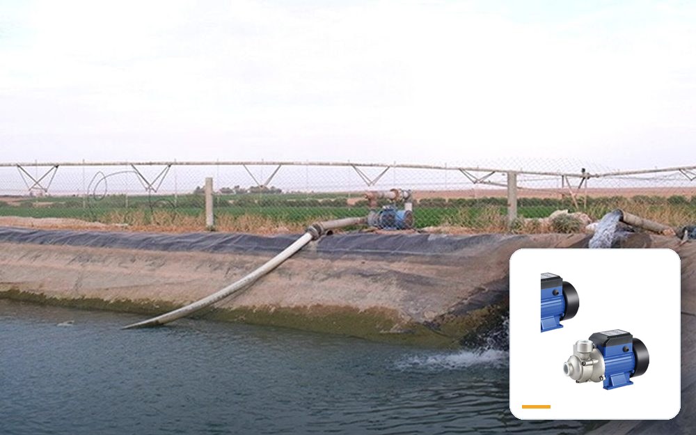 Orchard irrigation — Turkey