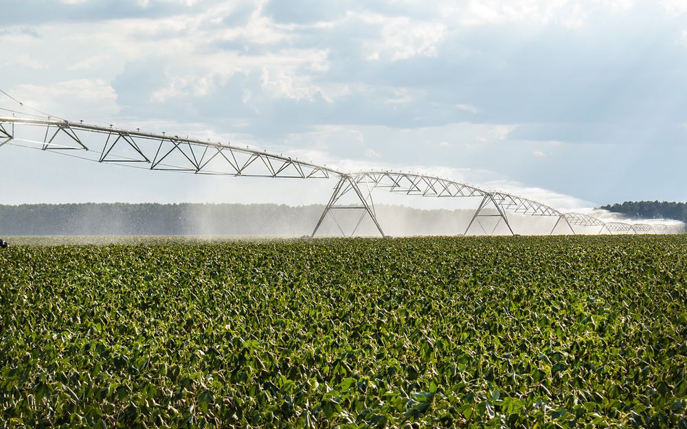 Solar Water Pumps for Irrigation